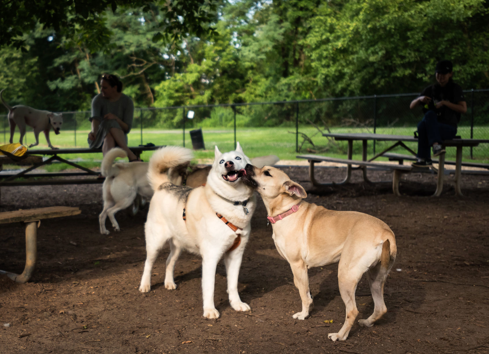 Washington Park